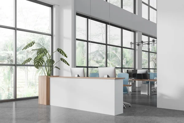 Corner view of modern office interior with reception desk, side view glass meeting and coworking corner with pc monitors. Panoramic window on tropics. 3D rendering