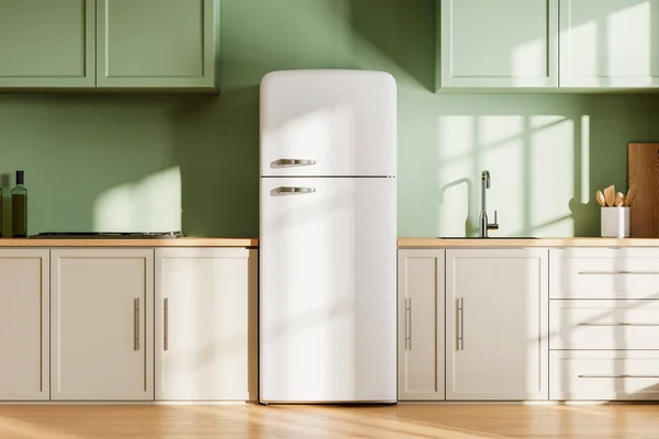 Modern Mutfağı Mutfak Eşyaları Raflar Buzdolabı Olan Yeşil Bej Bir — Stok fotoğraf