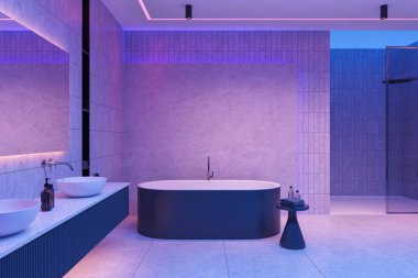 Neon Otel 'in banyo içi küvetli, çift lavabolu, gösterişli ve cam duşlu. Küvet ve sehpalı banyo alanı, aksesuarlar ve gece aydınlatması. 3B görüntüleme