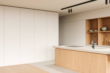 Ev mutfağının köşesindeki taş tezgah ve lavabo, mutfak gereçleri ve bulaşıklarla dolu dolap rafları. Modern dairede şık bir aşçılık alanı. 3B görüntüleme