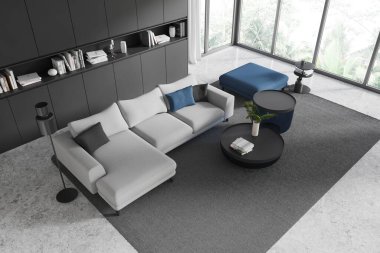Gri kanepe, mavi kanepe, yuvarlak masalar, minimalist dekorlar ve dışarısı yemyeşil. 3B Hazırlama