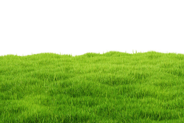 Dense green grass field with realistic texture in 3D Rendering style, isolated on white background, concept of nature, freshness, and environment