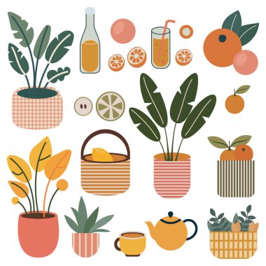 Dekoratif elementler, saksı bitkileri, narenciye meyveleri, yoga minderi ve bir fincan çay. Sıcak bir renk paleti, dünyevi tonlara sahip rahat ve huzurlu bir atmosfer yaratır..