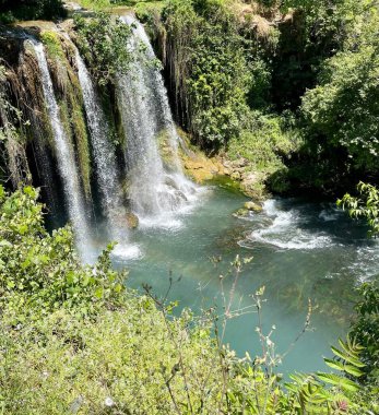 Vahşi doğada büyük bir şelale