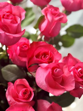 Bir buket parlak pembe gül.