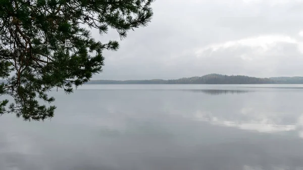 雾蒙蒙的风景 淡淡的秋天雨蒙蒙的风景 灰蒙蒙的天空 平静的水 枝条的前景 密布湖畔 拉脱维亚 — 图库照片