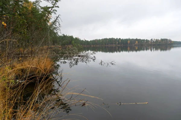 Regnigt Grått Höstlandskap Från Sjön Grå Himmel Lugnt Vatten Fallna — Stockfoto