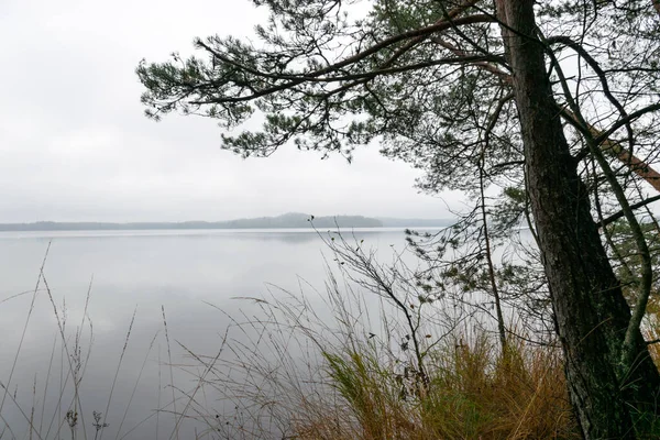 Dimmigt Landskap Regnigt Grått Höstlandskap Från Sjön Grå Himmel Lugnt — Stockfoto