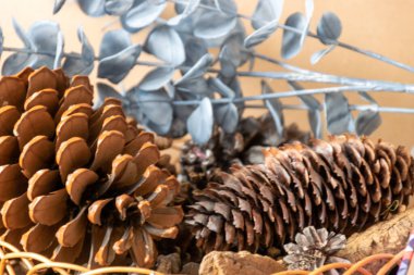 Çiçekçi tezgahında çeşitli dekorasyon unsurları var. Gelen bir çelengi süslüyor, Noel 'i bekliyor, el yapımı.