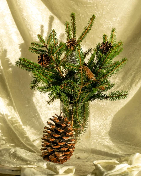 まだモミの枝やコーンと一緒に生活 クリスマスを待っています 手作り — ストック写真