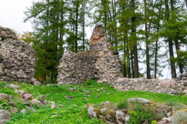 Eski bir şatonun kalıntıları, sonbaharda renkli ağaçlar, Ergeme şatosu kalıntıları, Valkas ilçesi, Letonya