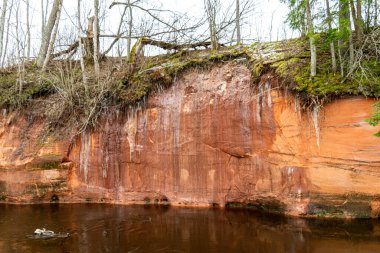 landscape with red sandstone rock outcrop in winter, river bank, Libiesu upuralas, Svetupe, Latvia