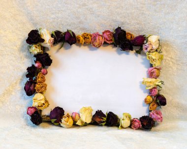 still life with colorful roses frame, place for text, blurred background, holiday concept, happy valentine's day