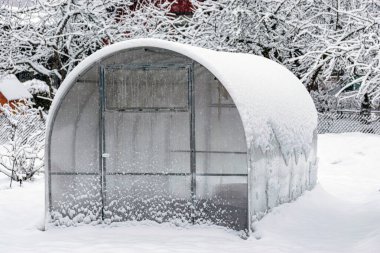 greenhouse in winter, view of small garden in winter, snow covers garden objects, trees and plants