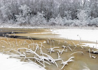 snowy reeds on the river bank, interesting patterns, foggy and grainy snow fall background, winter by the river