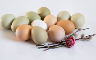 Sade tavuk yumurtaları, yumuşak pastel renkler, doğal renk tavuk yumurtaları, çiçekler, Paskalya konsepti, bahar