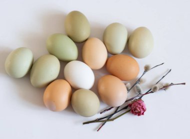 Sade tavuk yumurtaları, yumuşak pastel renkler, doğal renk tavuk yumurtaları, çiçekler, Paskalya konsepti, bahar