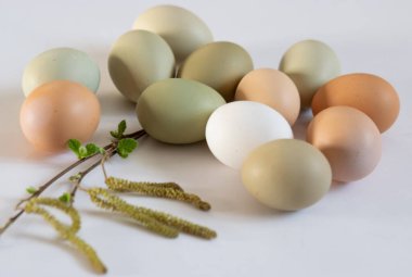 Sade tavuk yumurtaları, yumuşak pastel renkler, doğal renk tavuk yumurtaları, çiçekler, Paskalya konsepti, bahar