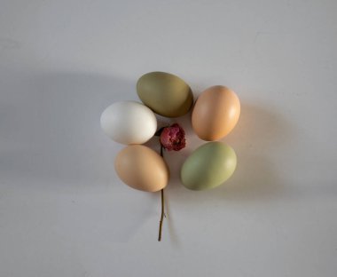 Sade tavuk yumurtaları, yumuşak pastel renkler, doğal renk tavuk yumurtaları, çiçekler, Paskalya konsepti, bahar