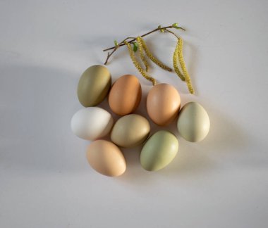 Sade tavuk yumurtaları, yumuşak pastel renkler, doğal renk tavuk yumurtaları, çiçekler, Paskalya konsepti, bahar
