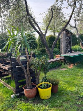 Baharda bahçe, ilkbahar çiçekleri çiçek, bahçe düzenlemesi, bahçıvanın konsepti.