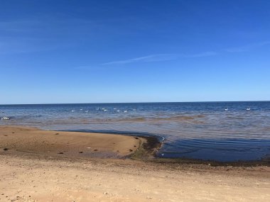 Güneşli deniz manzarası, mavi gökyüzü, deniz kıyısında birçok taş, Vidzeme kayalık kıyısı, Letonya