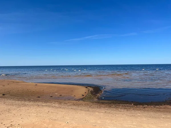 해변에 라트비아의 — 스톡 사진