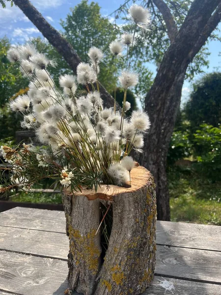 stock image still life with white bog plants pillow inserts in tree trunk