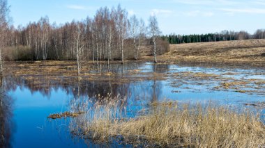 Göle bakan bahar manzarası, Vortsjarv Gölü Estonya 'nın en büyük iç su kütlesi..