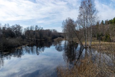 Göle bakan bahar manzarası, Vortsjarv Gölü Estonya 'nın en büyük iç su kütlesi..