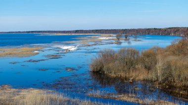 Göle bakan bahar manzarası, Vortsjarv Gölü Estonya 'nın en büyük iç su kütlesi..