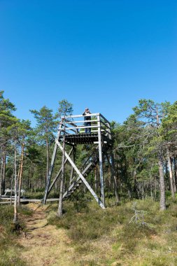 Ahşap gözetleme kulesi manzarası, bataklık bitkisi baharı, çim, yosun, su, sedir ve liken.