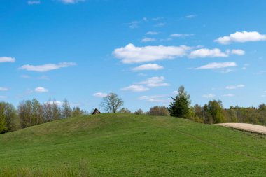 Çayırı olan parlak bir bahar manzarası, ilkbaharın ilk parlak yeşili, doğada dinlenmek için güzel bir yer.