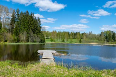 Baharın ilk parlak yeşili olan gölü olan parlak bahar manzarası, suyun yüzeyine yansıyor.
