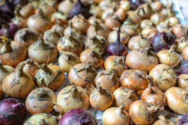 Kurutmak için yere çeşitli şekillerde soğanlar serilmiş, kış için ürünler depolanmış.