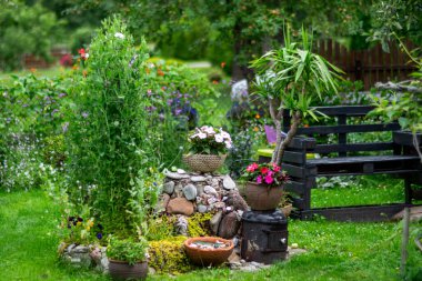 Renkli çiçekler ve bahçedeki dekoratif bitkiler, bahçenin içi, çiçek açan çiçeklerle dolu güzel bir çiçek bahçesi ve yazın yeşil bir çimen.