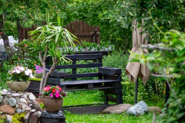 Renkli çiçekler ve bahçedeki dekoratif bitkiler, bahçenin içi, çiçek açan çiçeklerle dolu güzel bir çiçek bahçesi ve yazın yeşil bir çimen.