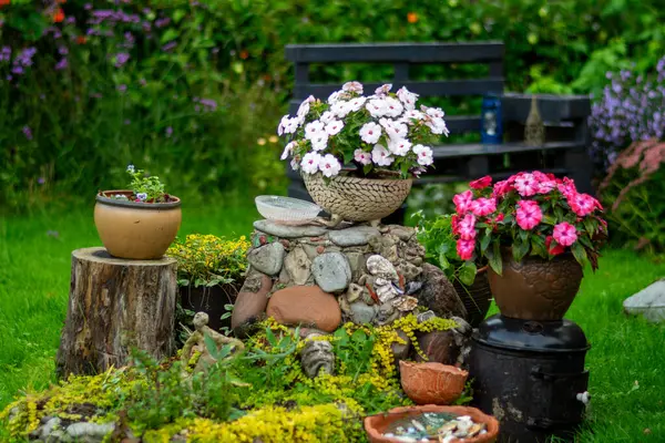 Beautiful Summer Flowers Flowerpot Garden Interior Impatiens Hawkeri Garden Flowerbed — Stock Photo, Image