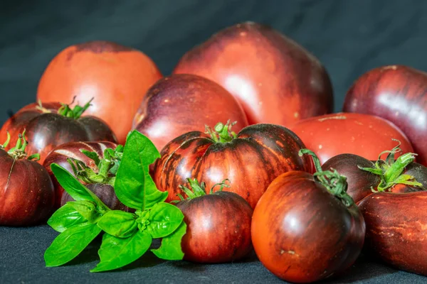 Pomodori Colorati Succosi Sani Sfondo Scuro Nutrizione Gustosa Sana Adatta — Foto Stock