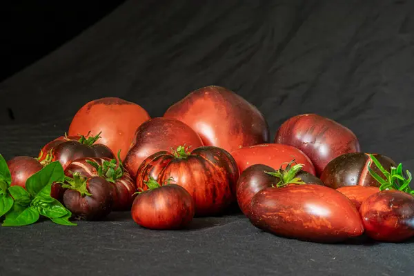 Tomates Coloridos Suculentos Saudáveis Fundo Escuro Nutrição Saborosa Saudável Adequada — Fotografia de Stock
