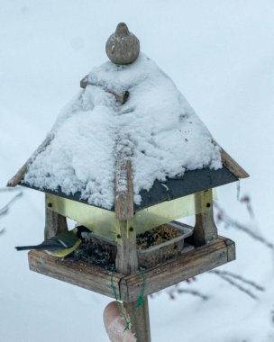 Kuş besleyicisiyle manzara, küçük dostlara yardım etmek, kışın kuşları beslemek.