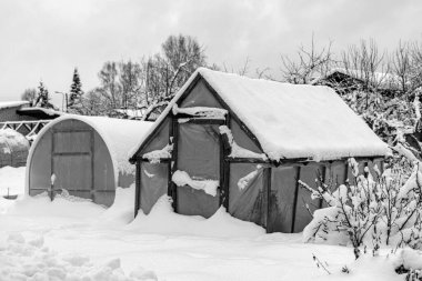 Kışın bahçe, karla kaplı sera, ağaçlar, bahçe evi ve bahçe aksesuarları, kışın küçük bahçe.