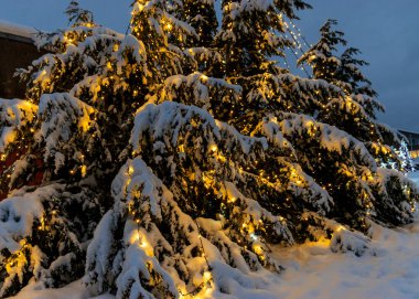 Noel 'i bekleyen süslü ağaçlar, renkli ışıklarla süslenmiş ağaçlar, parktaki karla kaplı ve aydınlık ağaçlar, kış akşamı