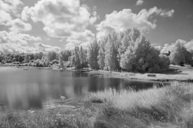 Suyun kenarında ağaçlar olan siyah beyaz manzara, su yüzeyinde yansımalar, yaz mevsimi.