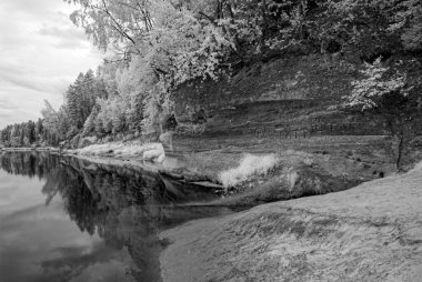 Suyun kenarında ağaçlar olan siyah beyaz manzara, su yüzeyinde yansımalar, yaz mevsimi.