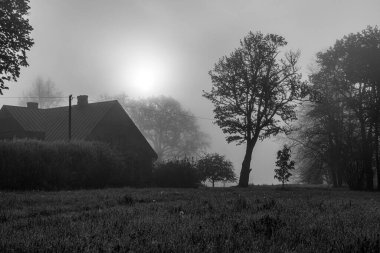 siyah ve beyaz fotoğraf, doğal manzara, siyah ve beyaz doğal manzara, B ve W