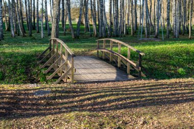 Bir bahar sabahı huş ağacının olduğu manzara, ilk açık yeşil, bahar