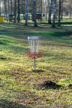 Arka planda huş ağacı olan yeşil çimlerin üzerinde bir disk golf deliği, parktaki bir disk golf sepeti, ilkbahar