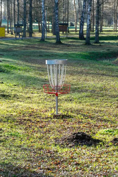 Arka planda huş ağacı olan yeşil çimlerin üzerinde bir disk golf deliği, parktaki bir disk golf sepeti, ilkbahar