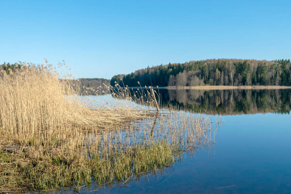 sunny spring landscape with calm lake, first green of spring in trees and grass, spring